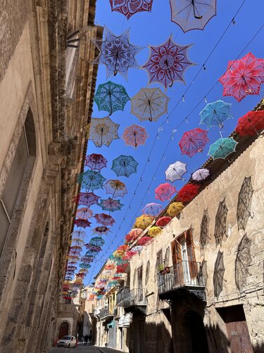 img_5583.jpeg img_5583.jpeg