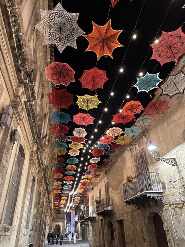 img_5928.jpeg img_5928.jpeg