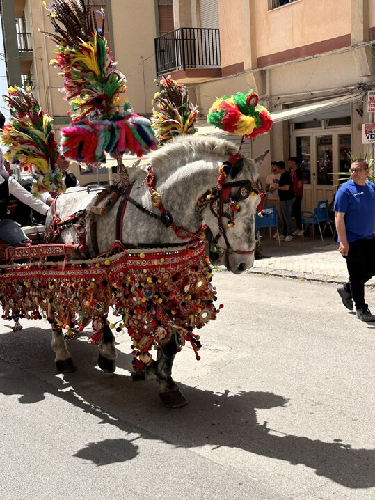 img_5885.jpeg img_5885.jpeg