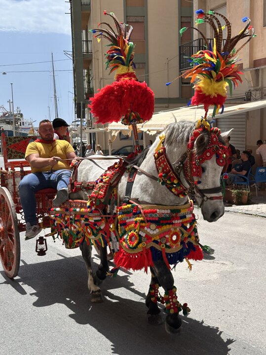 img_5893.jpeg img_5893.jpeg