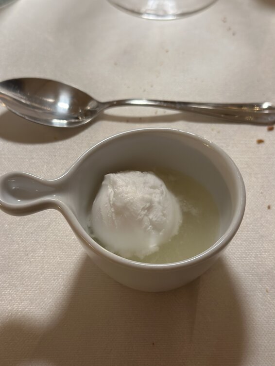 img_7458.jpeg img_7458.jpeg