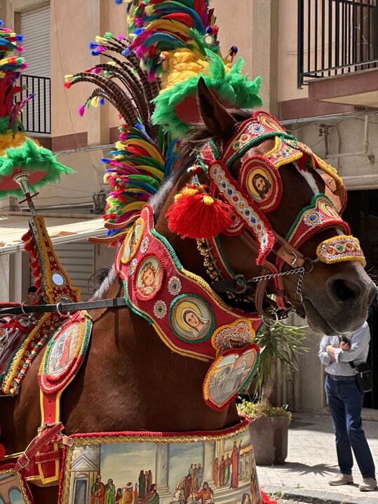 img_5892.jpeg img_5892.jpeg