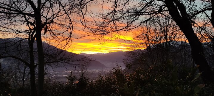 img_20221231_170406.jpeg img_20221231_170406.jpeg