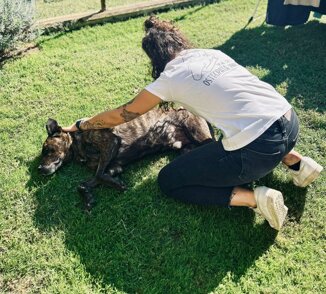 photo-2026-01-06-13-44-22.jpeg photo-2026-01-06-13-44-22.jpeg