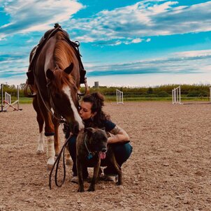 img_9155.jpeg img_9155.jpeg