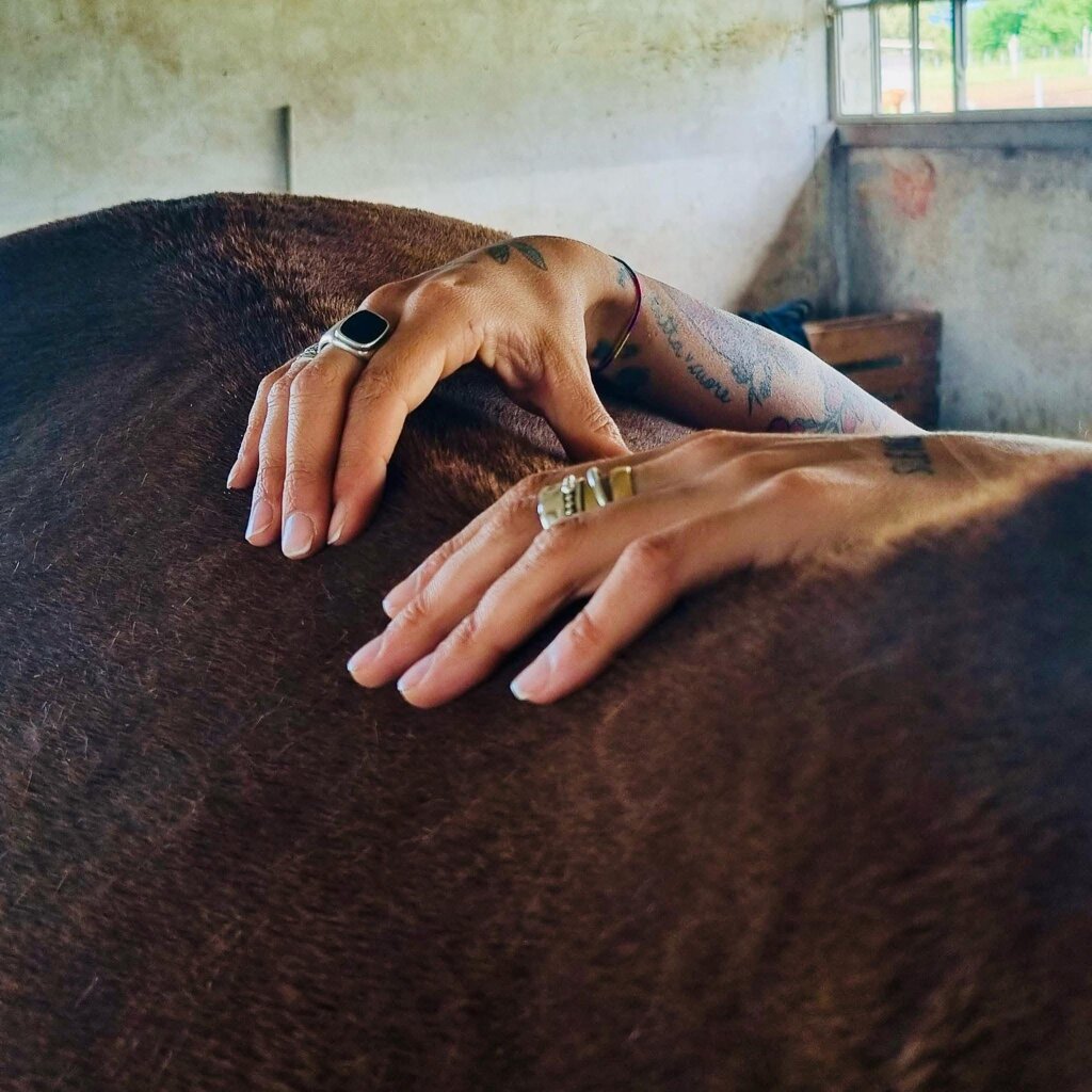 photo-2026-01-06-13-36-29.jpeg photo-2026-01-06-13-36-29.jpeg