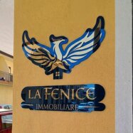fenice scalea.jpeg