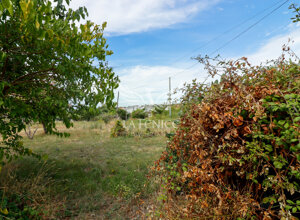 _mg_4262 _mg_4262