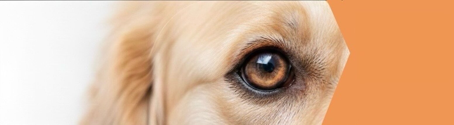 img_5123.jpeg img_5123.jpeg