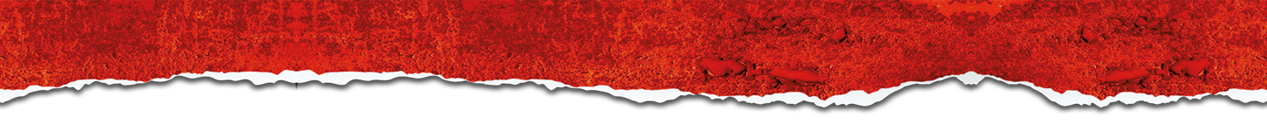 fascia-sito-red sopra