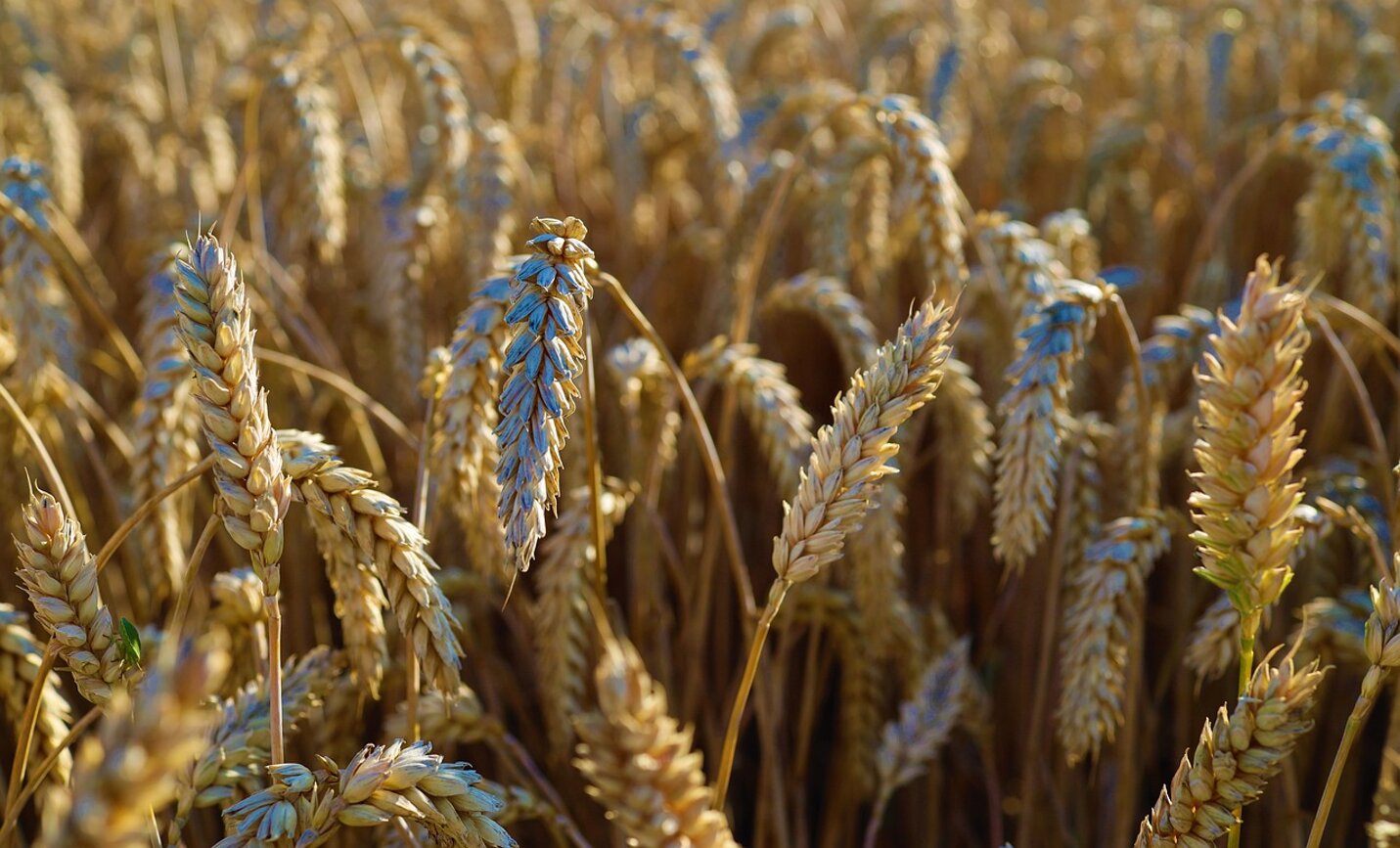 15b61798-f8d7-4300-9444-a9e7309414b8 15b61798-f8d7-4300-9444-a9e7309414b8