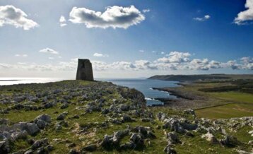 4786cbd8-685f-455a-9012-bf4cc39ec11c