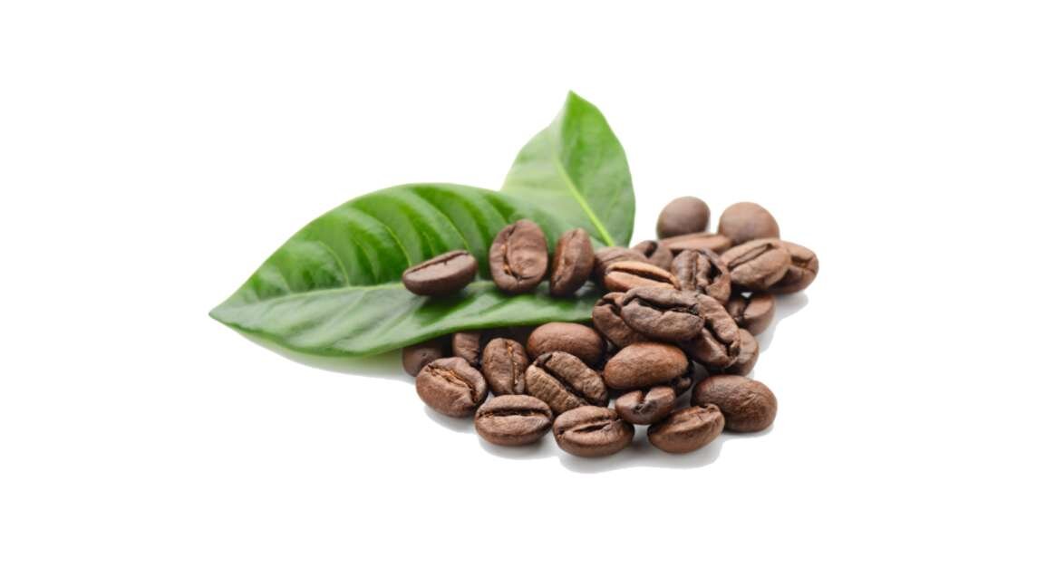 2009ebb1-3dd9-48aa-86f5-8b4926ce4511