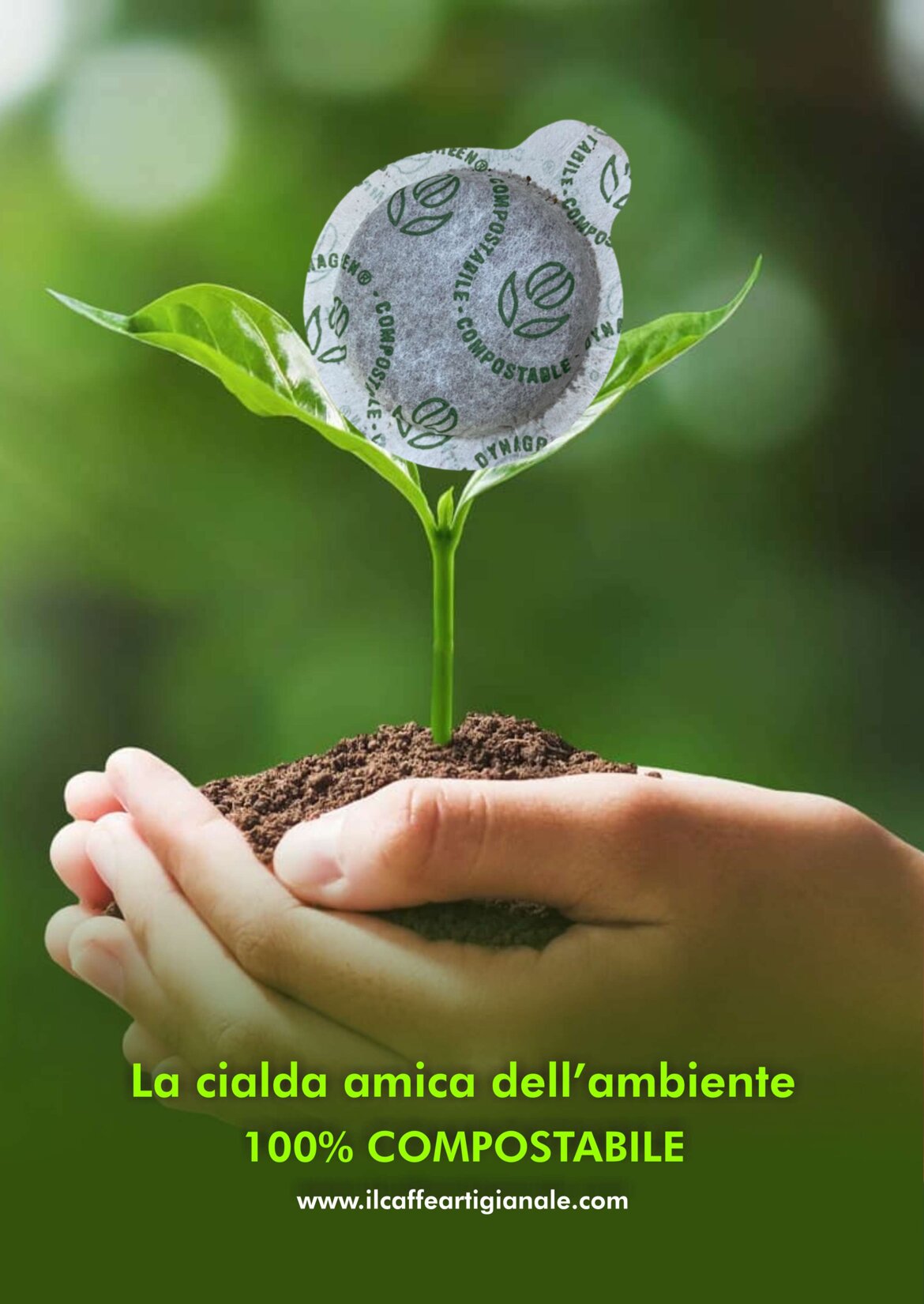 fa12d4ab-c698-4e31-9a0d-0554cf319fab