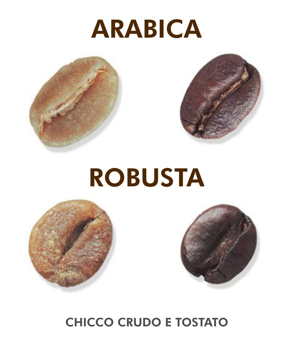 7eb3727b-b1c1-4105-b6c6-a398d00df6a6