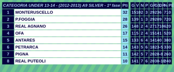 cat under 13-14-(2012-2013) a9 silver fase 1