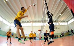 274c35a9-4423-4cc2-86a6-fb71b0d564b4