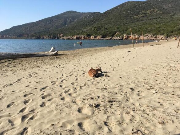 cfef7af4-c1b1-4c4c-9f92-5a5c149394ed