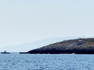 Formiche di Grosseto