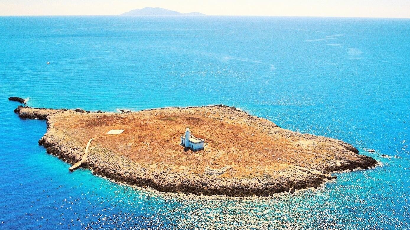 Formiche di Grosseto