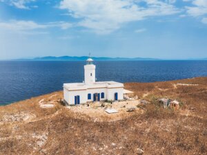 Formiche di Grosseto