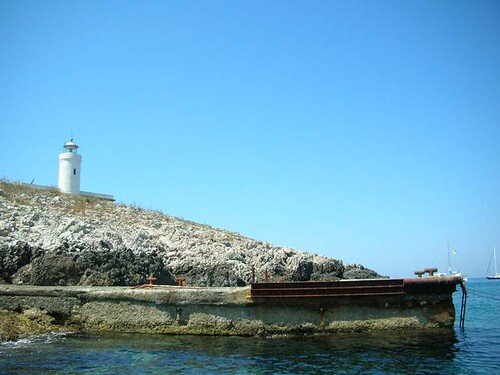 Formiche di Grosseto