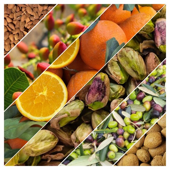 e7ff8b5e-9c0f-462e-a6c7-034a84818db1