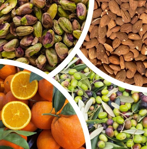 b0579cb2-9b0a-4cb9-9ddb-b65cb03991b0