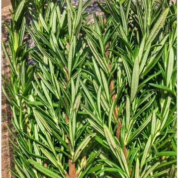 391976da-a668-466c-a99f-6f2d0f7e134a