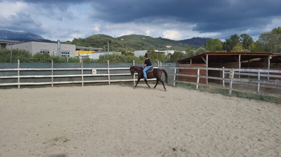 4f9b8f05-1f55-4a9c-87bd-d29c29ffab24 4f9b8f05-1f55-4a9c-87bd-d29c29ffab24