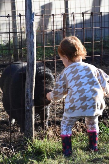 9fad3371-1b53-4383-b425-3b6c7c2fb9f0