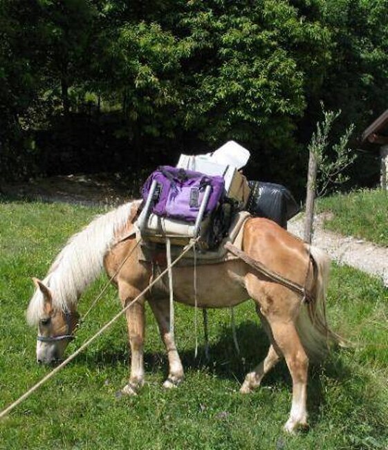 56870b66-54a7-4dbf-8d57-53a1879ed8b6 56870b66-54a7-4dbf-8d57-53a1879ed8b6