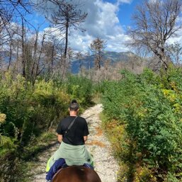 1817b614-b6b1-460b-ac43-478ba95ee6b3