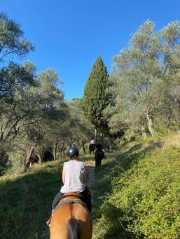 9033e0ac-2035-4e96-ae65-6c2aebca7d88