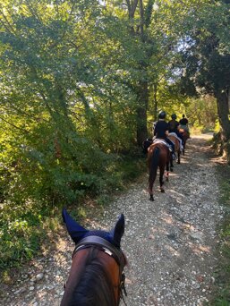 481cce2c-fd45-4de2-bf47-cd9ccbaec384