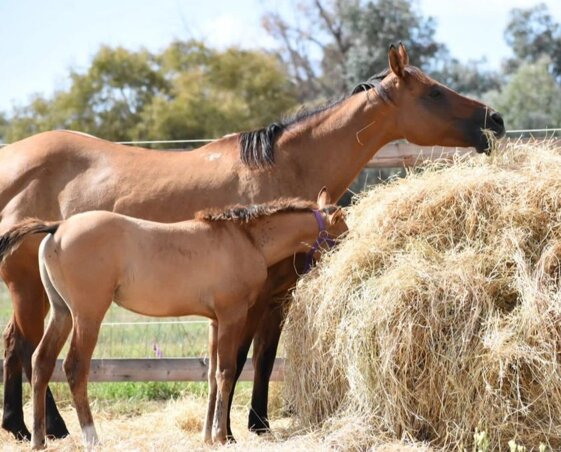 70c6efd6-e9b9-4b7c-aa5a-104df5aad614