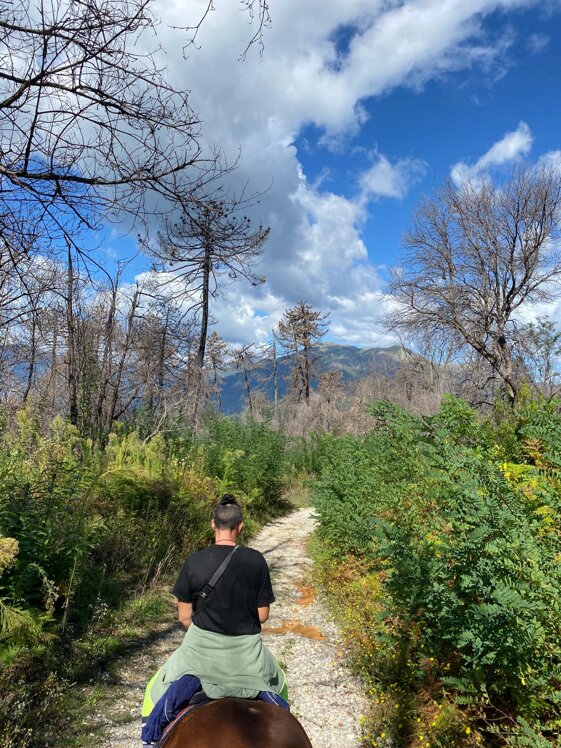 47825920-b497-42db-9c2a-60bae96c2f4f