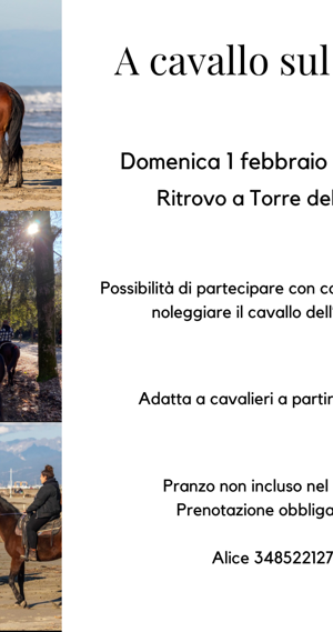 3b3aabaf-69e8-48e3-bb36-1ee3e7900b91