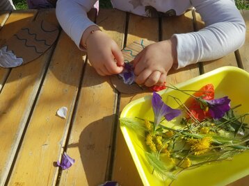 b50ac33e-62de-44a3-aba9-8a4ecf991d42