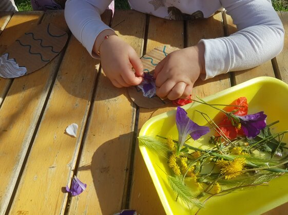 b50ac33e-62de-44a3-aba9-8a4ecf991d42