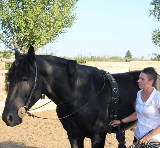 edca24e9-c2f6-42d7-8a77-78f8e4c8ef9e