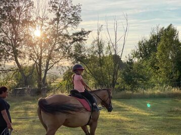 989f0be7-d7e6-4833-965e-d3dcb16bc783