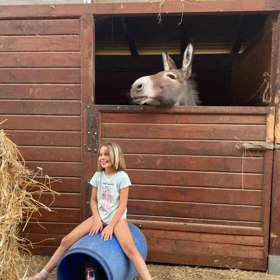 0851f628-92af-4eee-ba38-f1d978b6b749