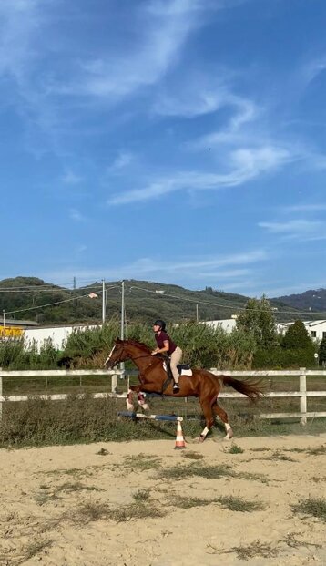 483e2c7d-a7bb-43d3-acb7-88a1833d3e78