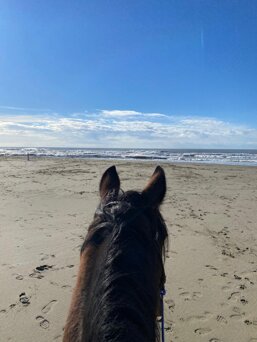 67baeac3-dd32-4061-835c-650ca5450116