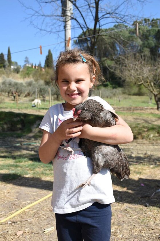 86681efe-62b2-4fba-bf1b-b927a143e834