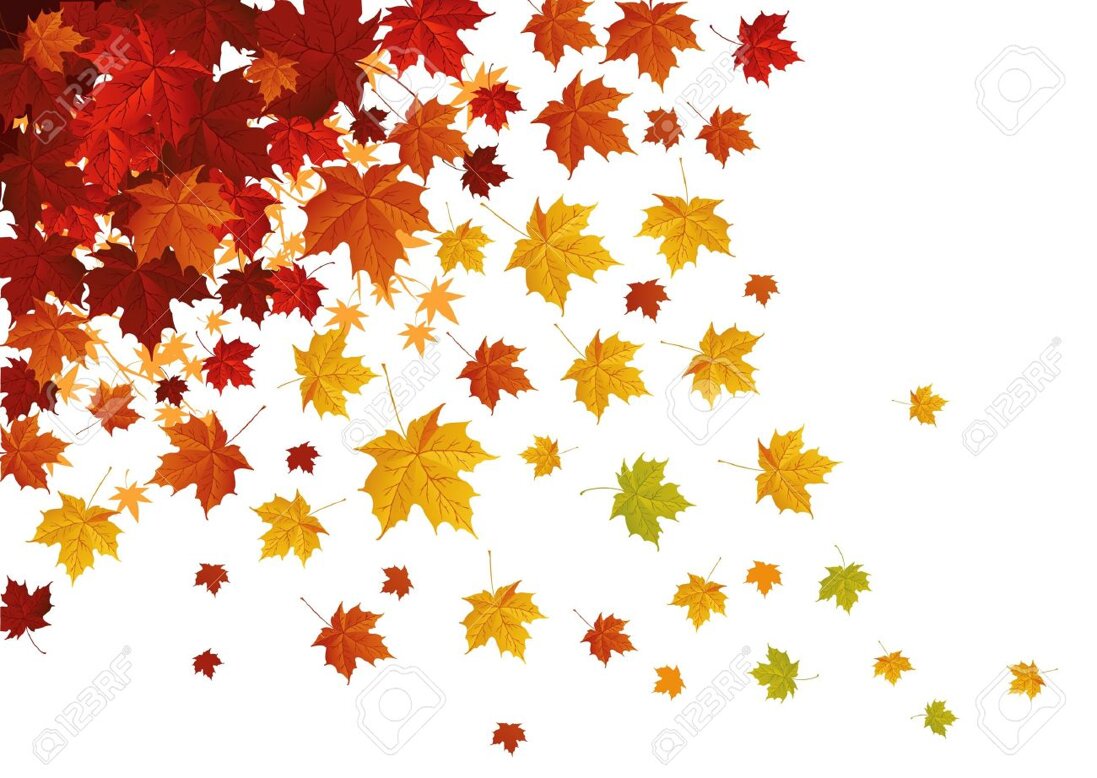 10118792-autumn-leafs-falling-down.jpeg