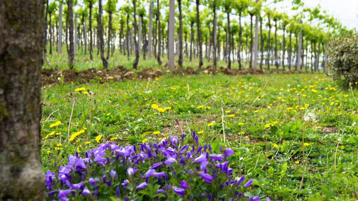 18772b7c-8a17-48d5-8fd7-97d2d45ae203