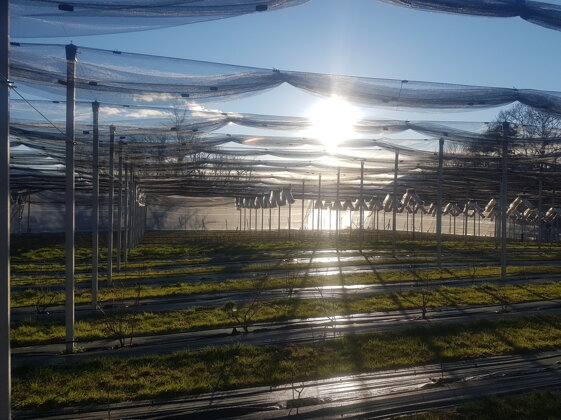 f2fa6184-fc72-4d4e-81cc-db313f421053