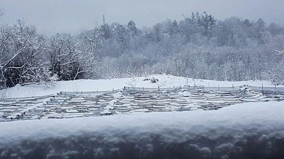 a71ec52a-4fdf-441e-a8a2-0326bb1d08d0